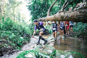 BIB: 
                            <button type="button" onclick="openModal(25466954)" class="btn btn-primary btn-sm float-right btn-popup" data-toggle="modal" data-target=".modal-high-quality">
                        <i class="fas fa-shopping-cart"></i> Add to Cart
                    </button>
                                            <button type="button" onclick="isThisMe(25466954, true)" class="btn btn-success btn-sm float-right btn-popup btn-isme hidden" data-toggle="tooltip" data-placement="bottom" title="นี่คือรูปของคุณใช่ไหม คลิกที่นี่เพื่อเอาเข้าอัลบั้ม">
                        <i class="fas fa-plus"></i> Add to album
                    </button>
                    <button type="button" onclick="isThisMe(25466954, false)" class="btn btn-warning btn-sm float-right btn-popup btn-isnotme hidden">
                        <i class="fas fa-ban"></i> Remove from album
                    </button>